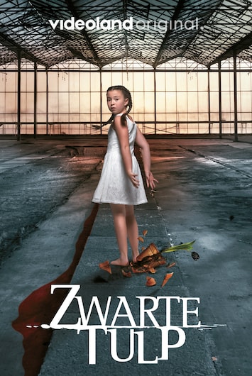 Zwarte Tulp